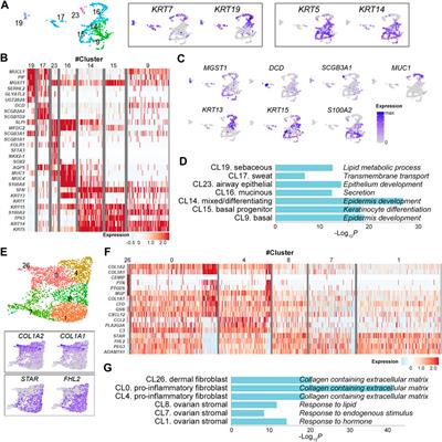 Single Cell Gene Transcriptome Analysis of Ovarian Mature Teratomas